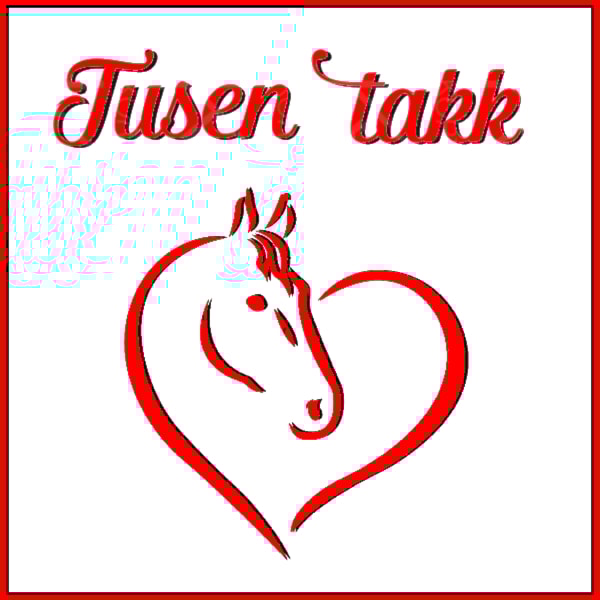 Tusen takk for hjelpen